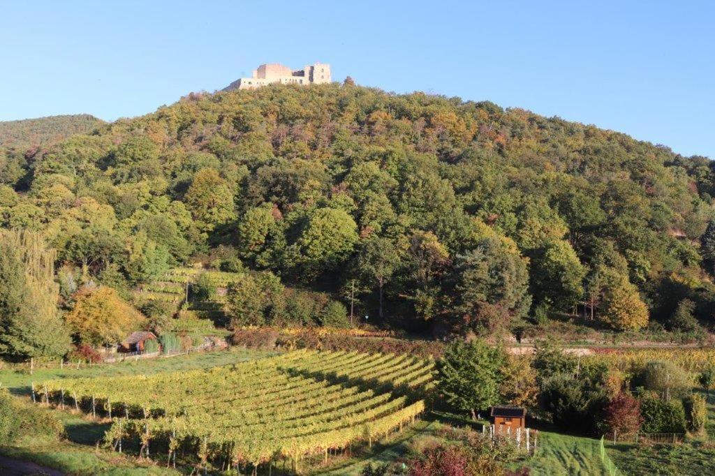 Bed & Breakfast Weinhaus Paradies Neustadt an der Weinstraße