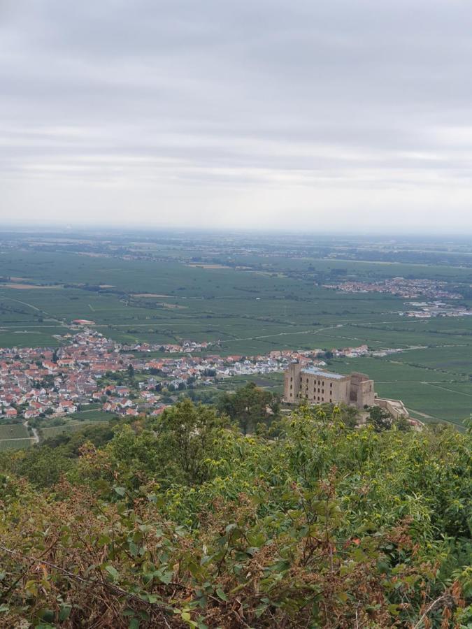 Weinhaus Paradies