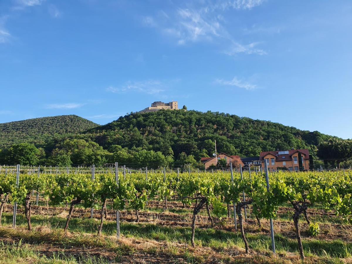 Weinhaus Paradies Bed & Breakfast